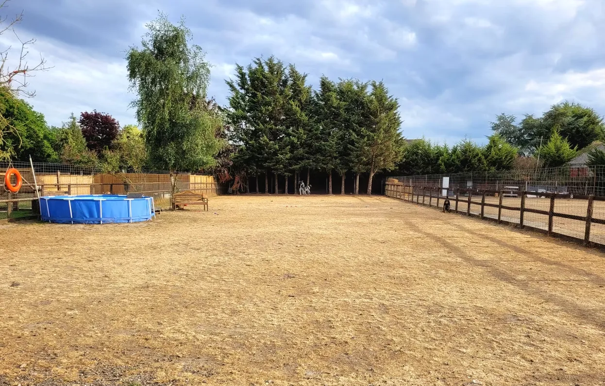 kennels photo 3