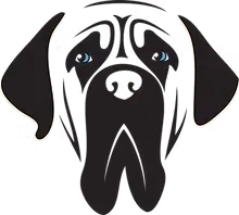 Animal Magic