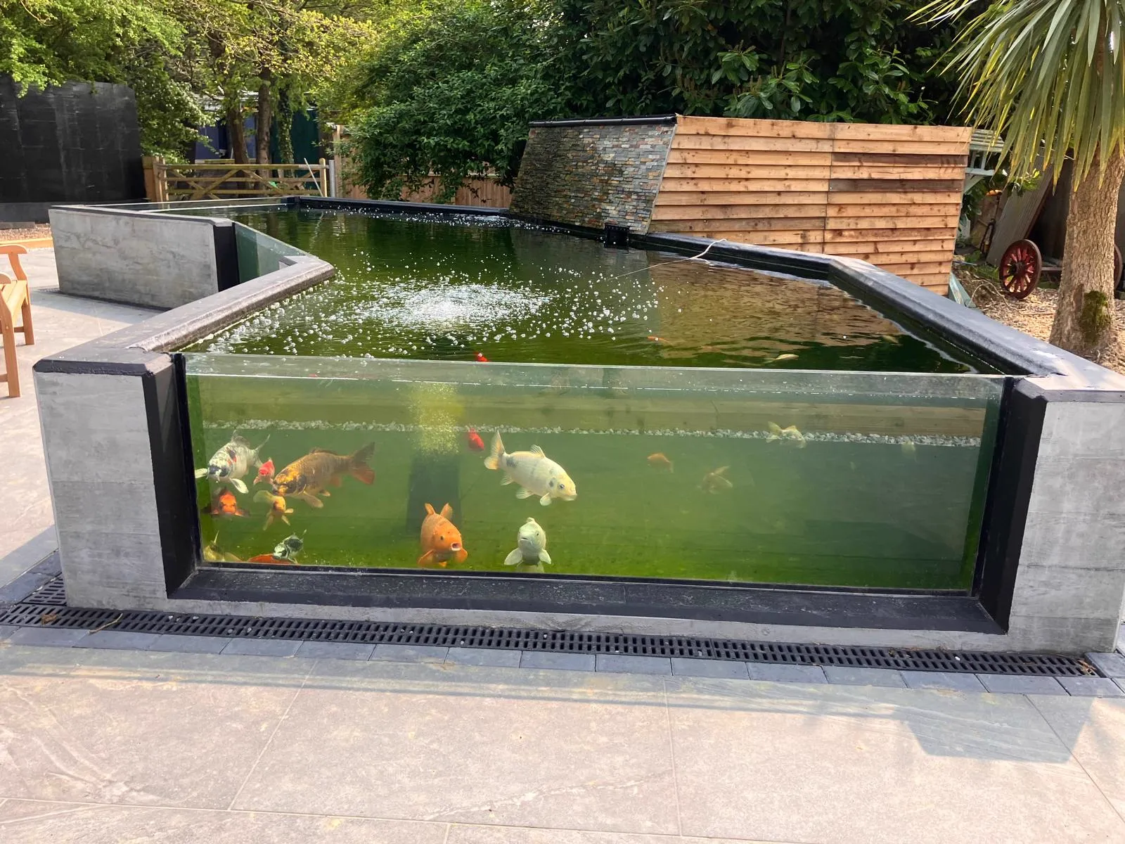 kennels photo 66